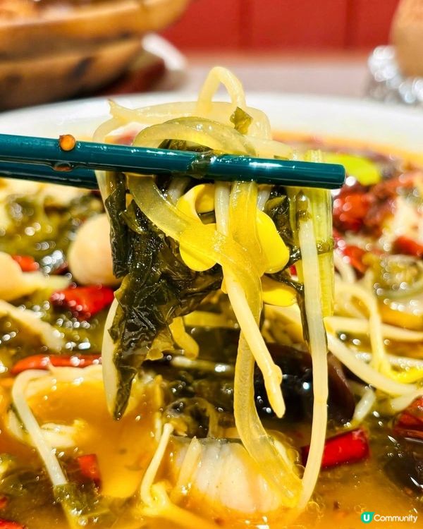 荃灣文樂園🥢｜高質粵菜💯｜飯聚好選擇😋