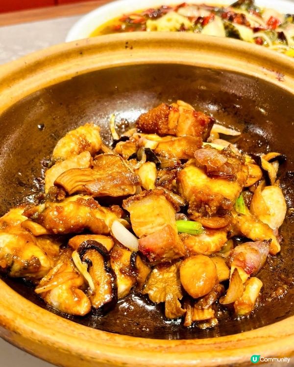 荃灣文樂園🥢｜高質粵菜💯｜飯聚好選擇😋