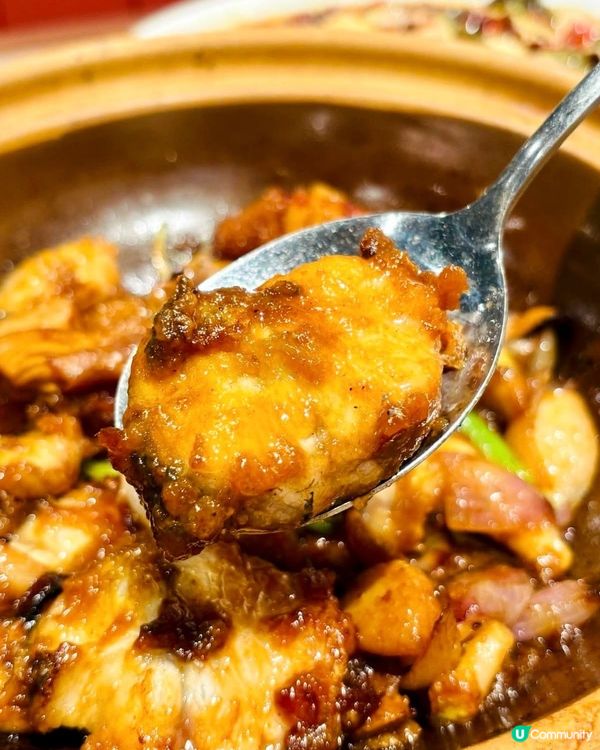 荃灣文樂園🥢｜高質粵菜💯｜飯聚好選擇😋