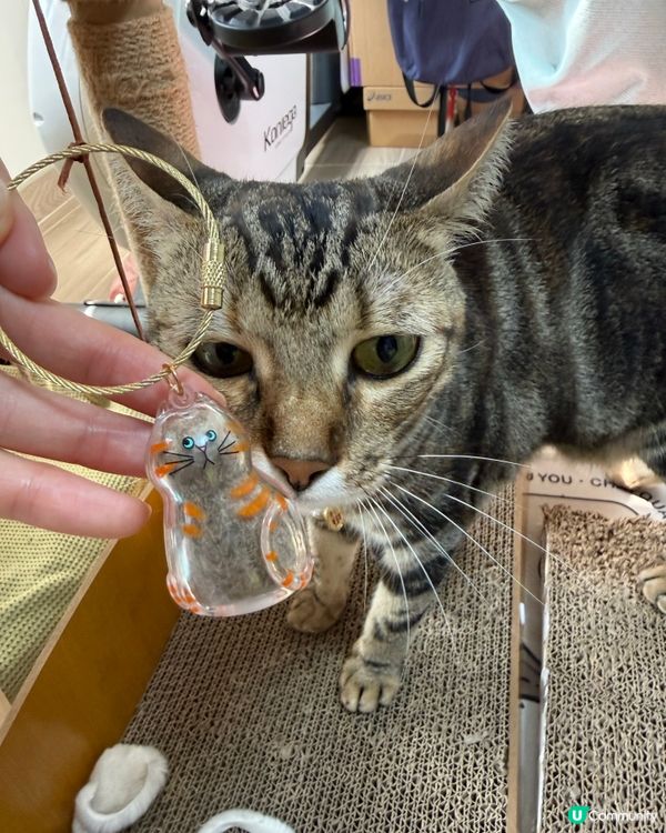 貓奴寶藏！貓毛鎖匙扣handmade！🐱✨