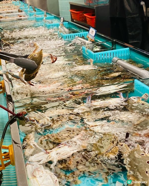 旺角➡️➡️➡️千海水產海鮮火鍋放題