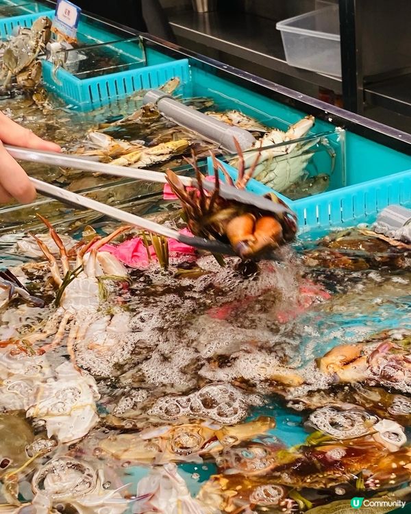 旺角➡️➡️➡️千海水產海鮮火鍋放題