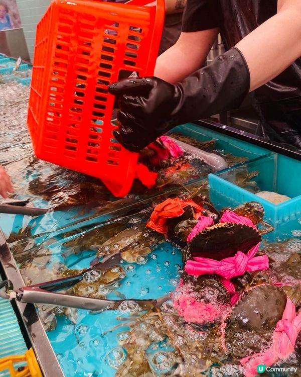 旺角➡️➡️➡️千海水產海鮮火鍋放題