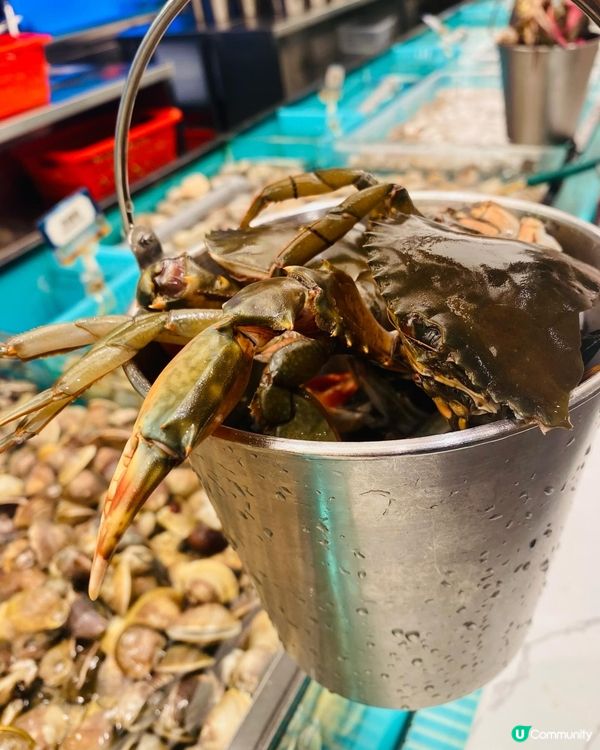 旺角➡️➡️➡️千海水產海鮮火鍋放題