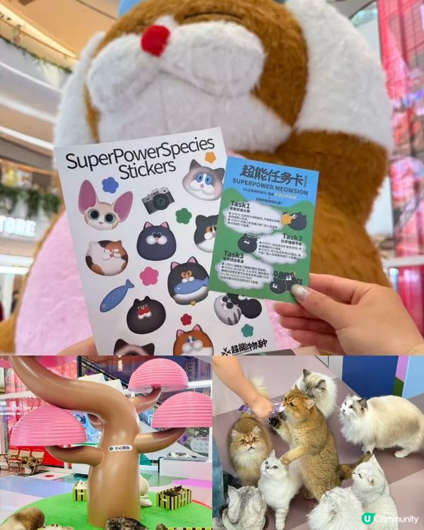 復活節嚟呢度開餐! 深圳新餐廳推介 🥩