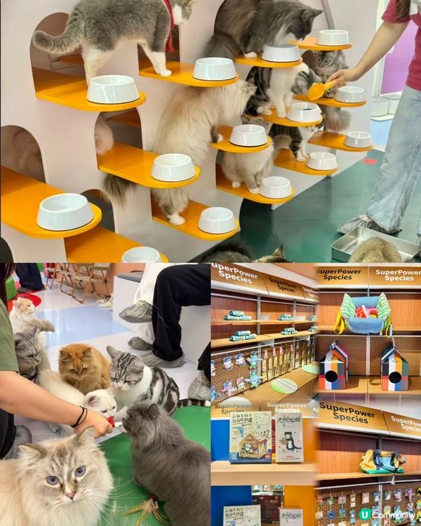 復活節嚟呢度開餐! 深圳新餐廳推介 🥩