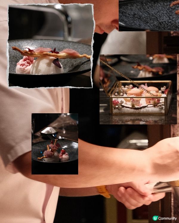 🇭🇰| 太古 - Té Bo