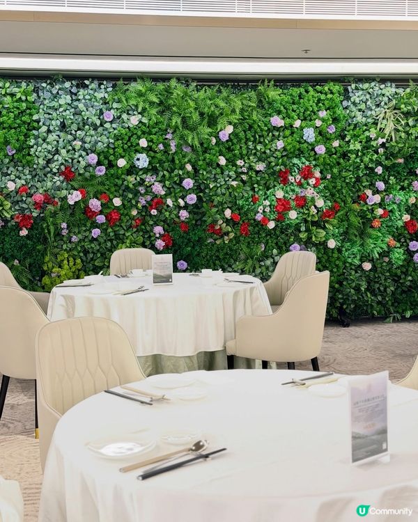 順德美饌✨合和軒有驚喜🥢