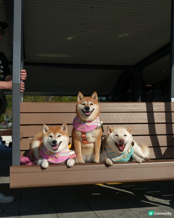 🌴週末好去處·葵涌公園🌳