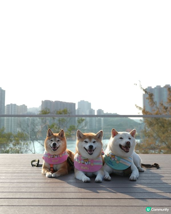 🌴週末好去處·葵涌公園🌳
