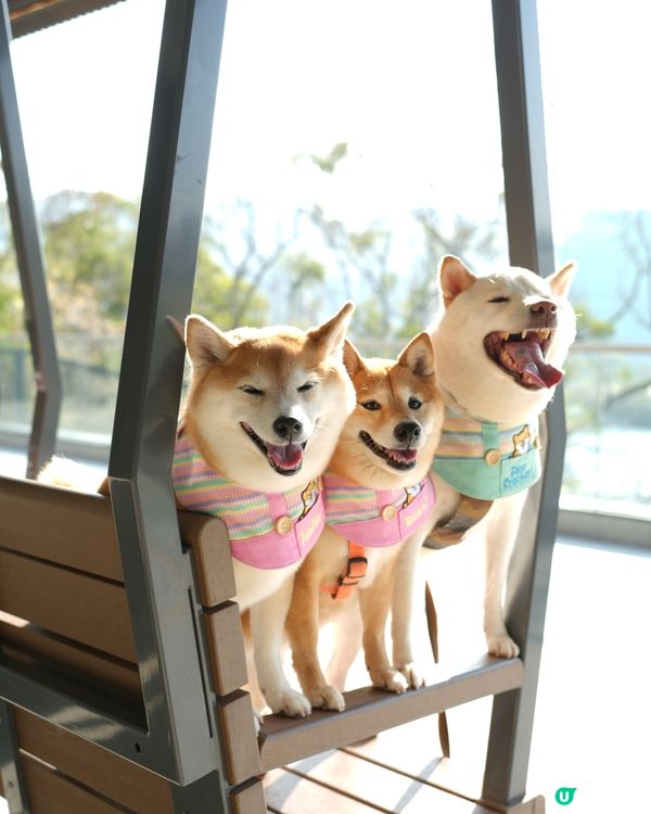 🌴週末好去處·葵涌公園🌳