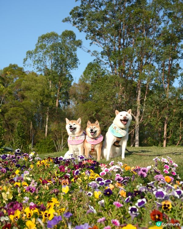 🌴週末好去處·葵涌公園🌳