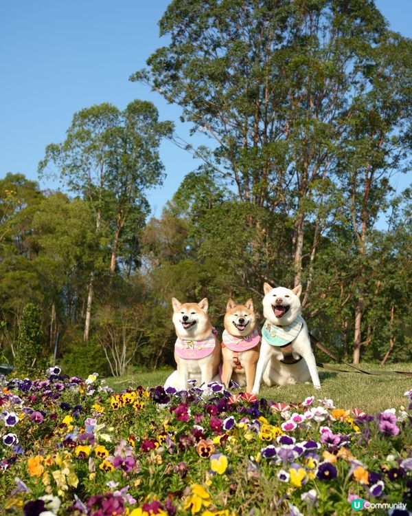 🌴週末好去處·葵涌公園🌳
