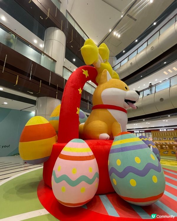 青衣城和柴犬玩遊戲