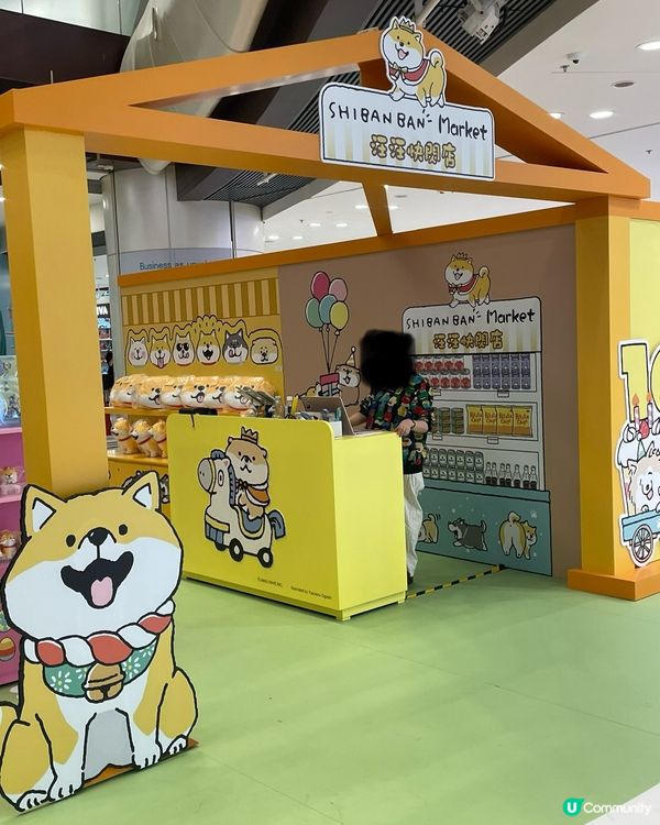 青衣城和柴犬玩遊戲