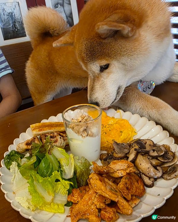 幾好坐嘅一間cafe, 食物質素唔錯, 價錢合理, 對寵物十...