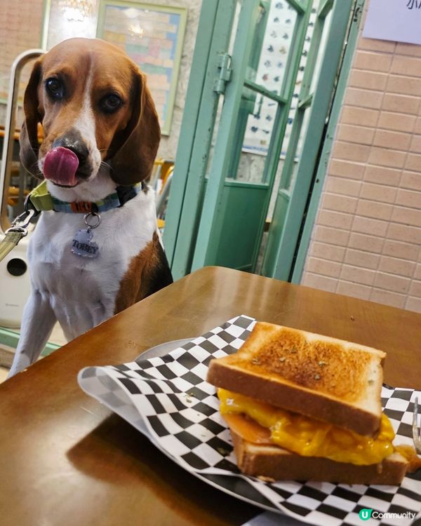 幾好坐嘅一間cafe, 食物質素唔錯, 價錢合理, 對寵物十...