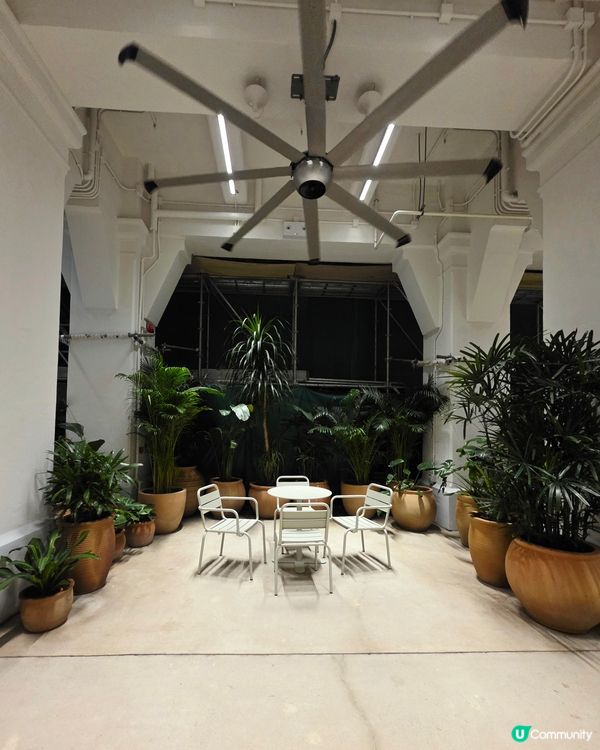 夜遊大館，影相打卡 📸🌃