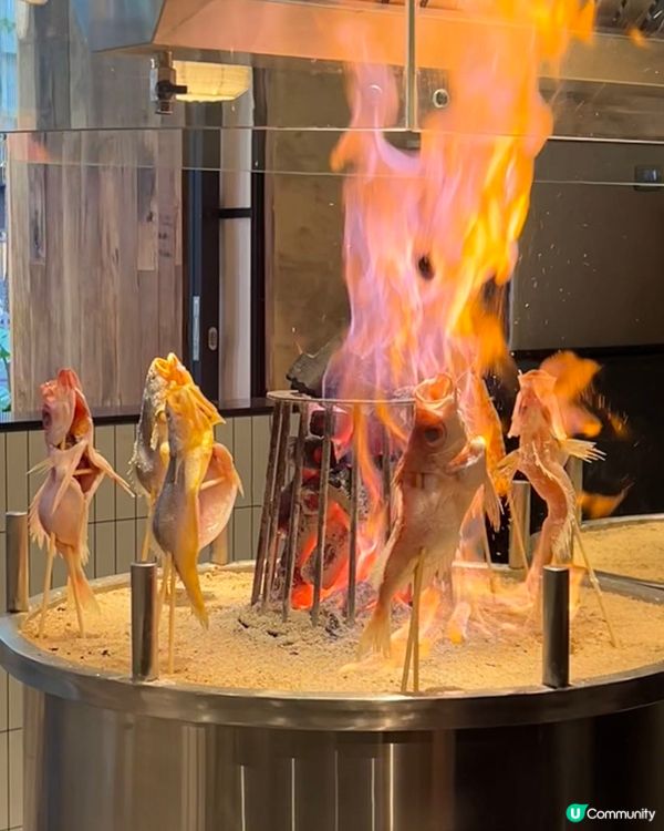 爐端魚炭香💯深圳串燒🤤