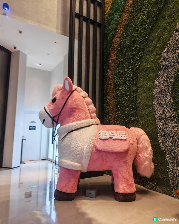 灣區新地標！深圳灣靚景🌃