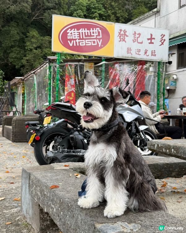 西貢隱世茶座：帶埋狗狗食餐蛋麵 + 每日新鮮磨製黑芝麻糊！