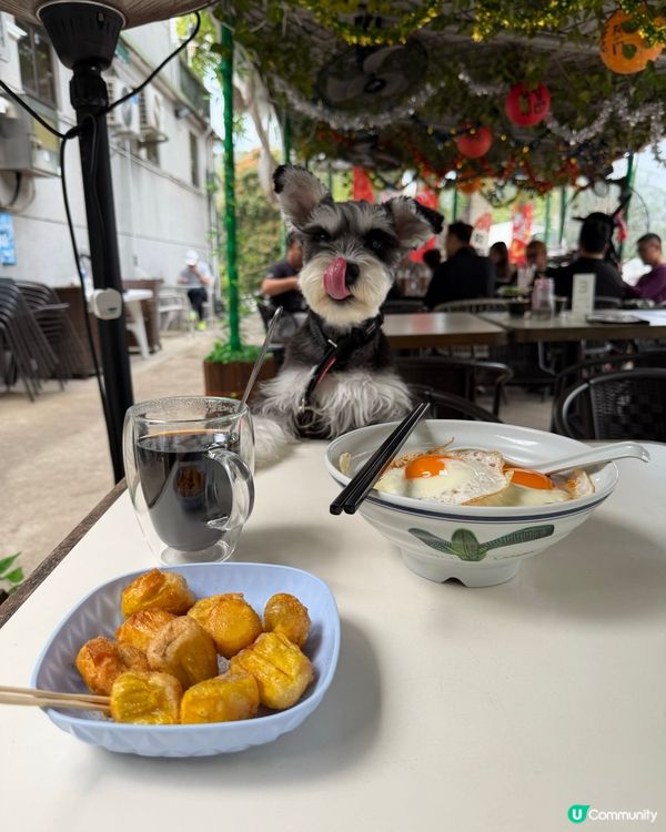 西貢隱世茶座：帶埋狗狗食餐蛋麵 + 每日新鮮磨製黑芝麻糊！