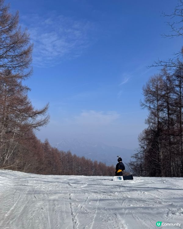 妙高雪國SpringBoot❄️！睇雪浸泉🇯🇵🔥
