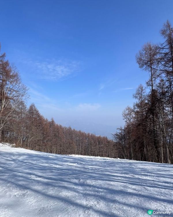 妙高雪國SpringBoot❄️！睇雪浸泉🇯🇵🔥