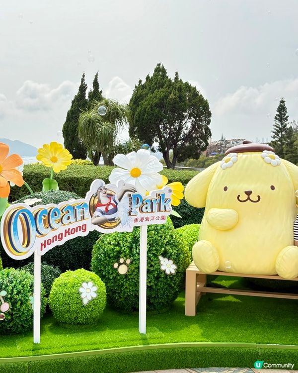 海洋公園-Sanrio「蔚藍海洋之旅」＋布甸狗30周年