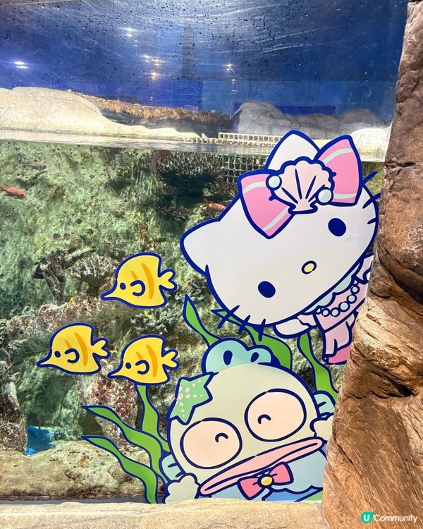 海洋公園-Sanrio「蔚藍海洋之旅」＋布甸狗30周年