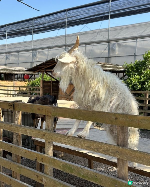 復活節珠海度假首選!暢玩兩日一夜超寫意✨