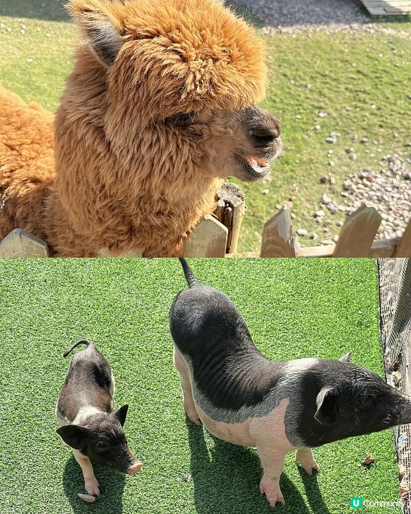 復活節珠海度假首選!暢玩兩日一夜超寫意✨