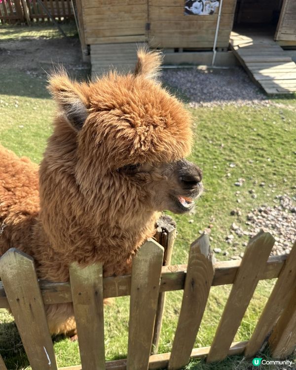 復活節珠海度假首選!暢玩兩日一夜超寫意✨