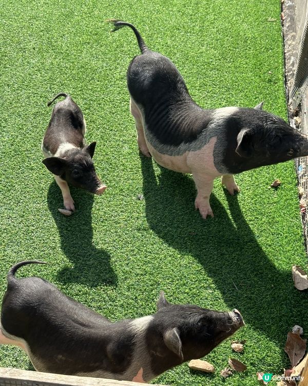 復活節珠海度假首選!暢玩兩日一夜超寫意✨