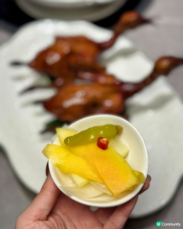 乳鴿款式多到有驚喜