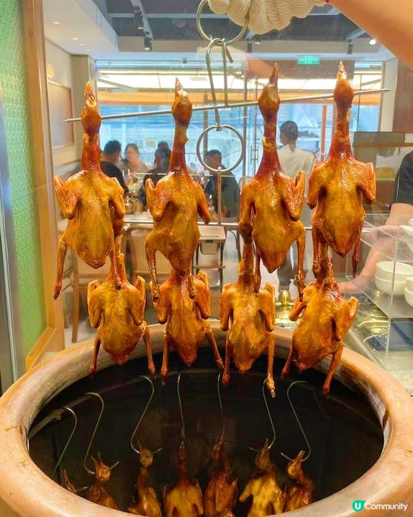 乳鴿款式多到有驚喜