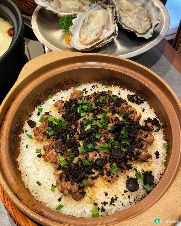 乳鴿款式多到有驚喜