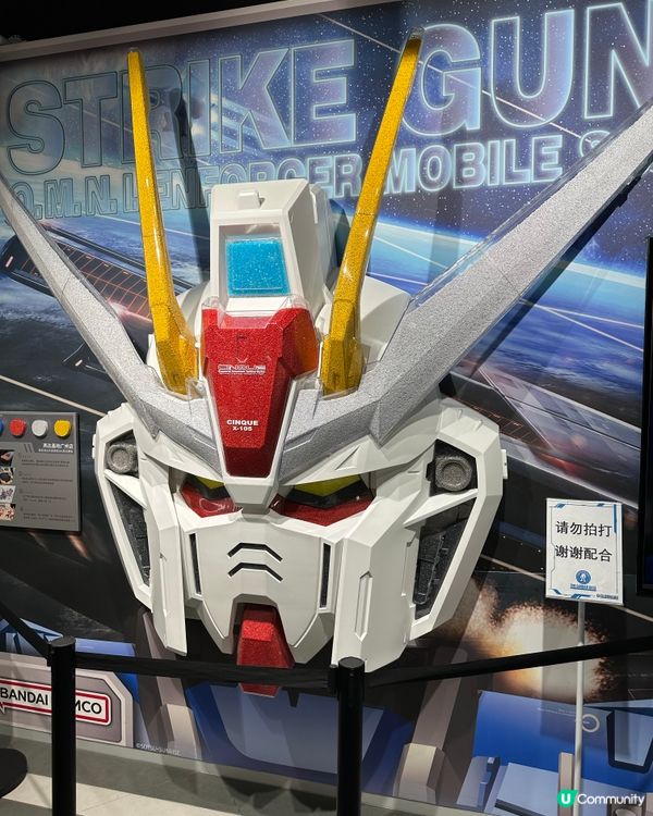 正佳膠友天堂! 🤖 必去朝聖地! ✨