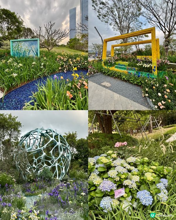 🌺🤩2026粵港澳大灣區花展