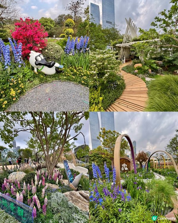 🌺🤩2026粵港澳大灣區花展