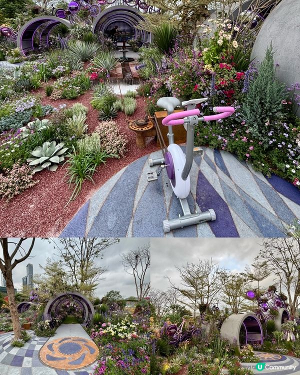 🌺🤩2026粵港澳大灣區花展