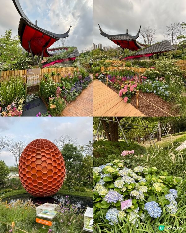 🌺🤩2026粵港澳大灣區花展