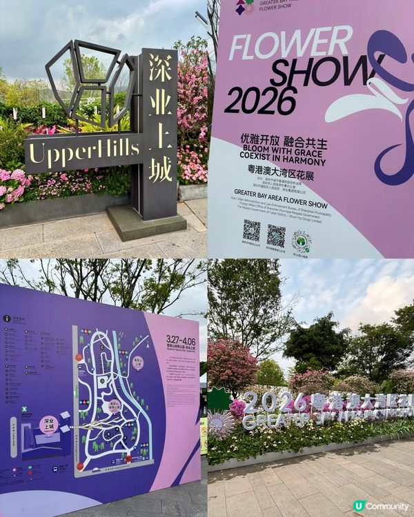🌺🤩2026粵港澳大灣區花展