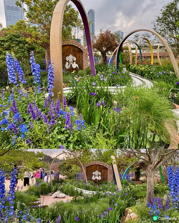 🌺🤩2026粵港澳大灣區花展