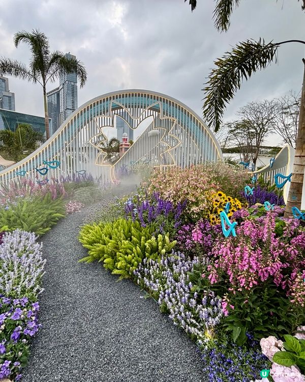 🌺🤩2026粵港澳大灣區花展