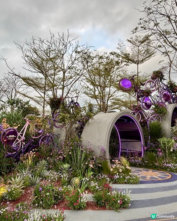 🌺🤩2026粵港澳大灣區花展