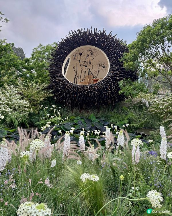 🌺🤩2026粵港澳大灣區花展