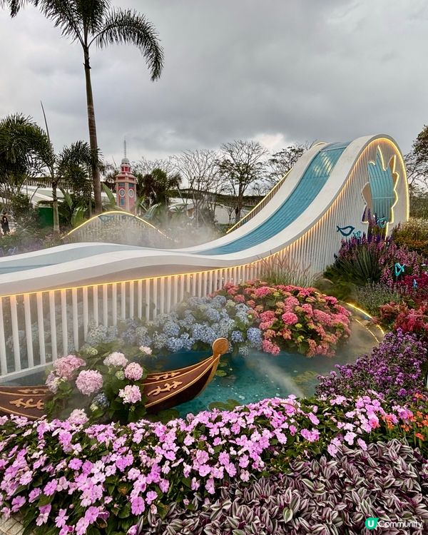 🌺🤩2026粵港澳大灣區花展