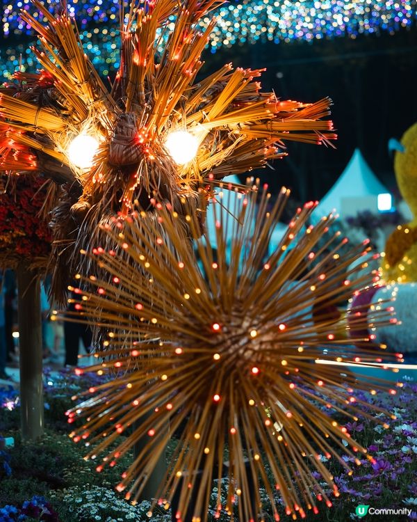 香港花卉展覽2026