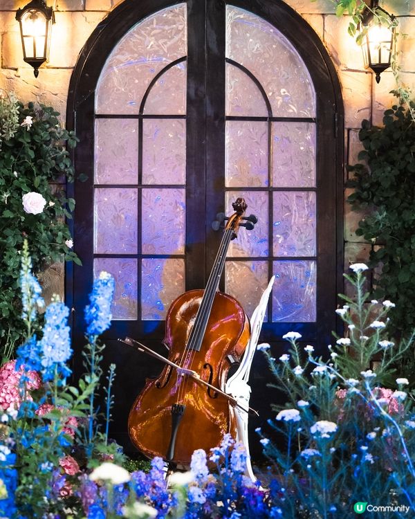 香港花卉展覽2026